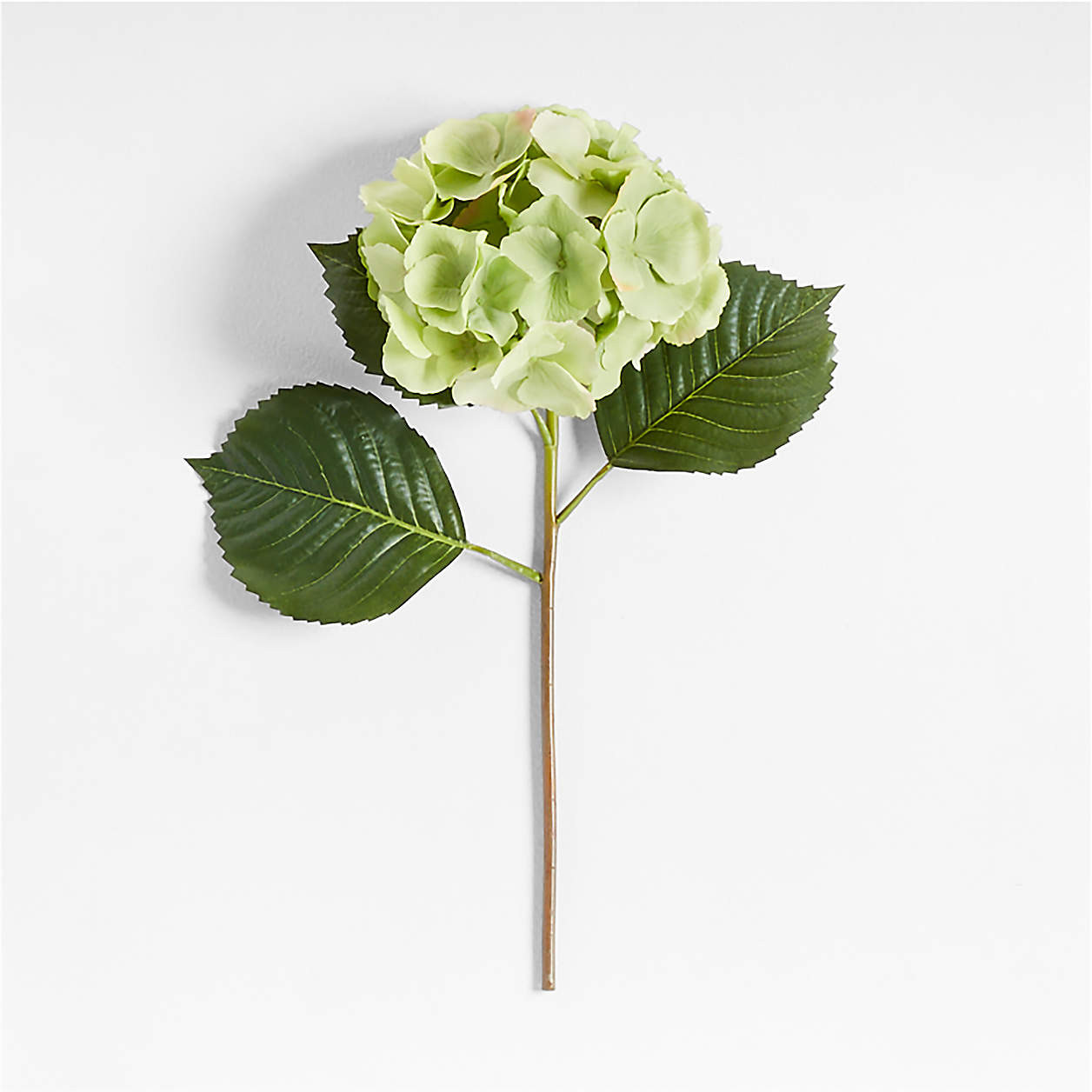 Faux Green Hydrangea Stem 20" by Abigail Ahern + Reviews | Crate & Barrel | Crate & Barrel