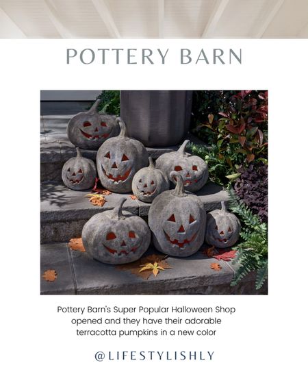 Pottery barn terra cotta Halloween pumpkins 