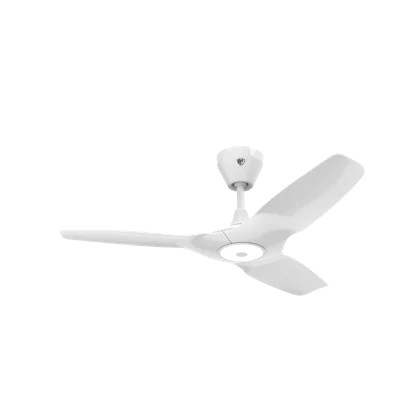 Haiku L Smart Led Ceiling Fan | Wayfair North America