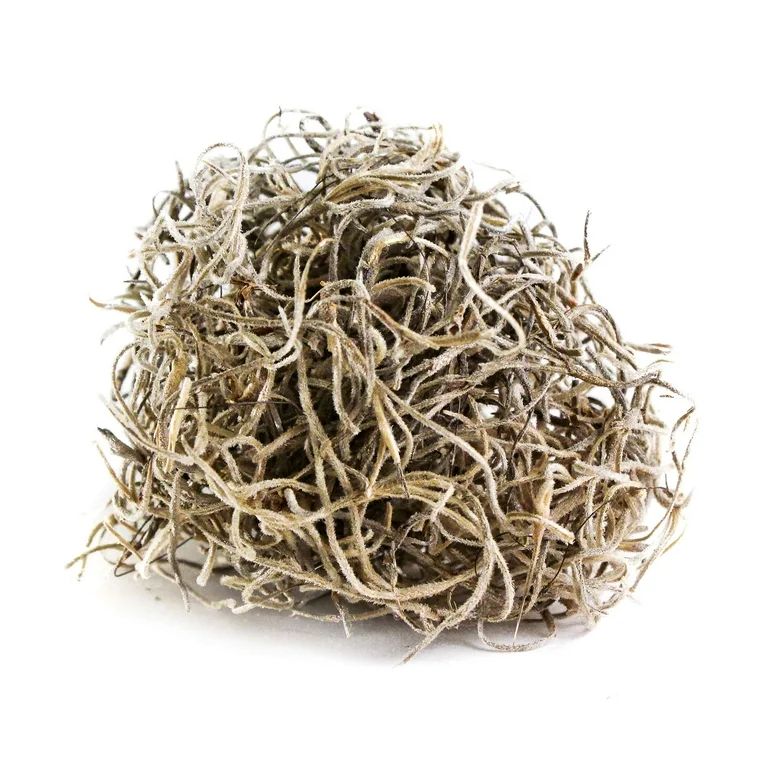 ProFlora Brown Spanish Natural Moss - Floral Arranging Supplies | Walmart (US)