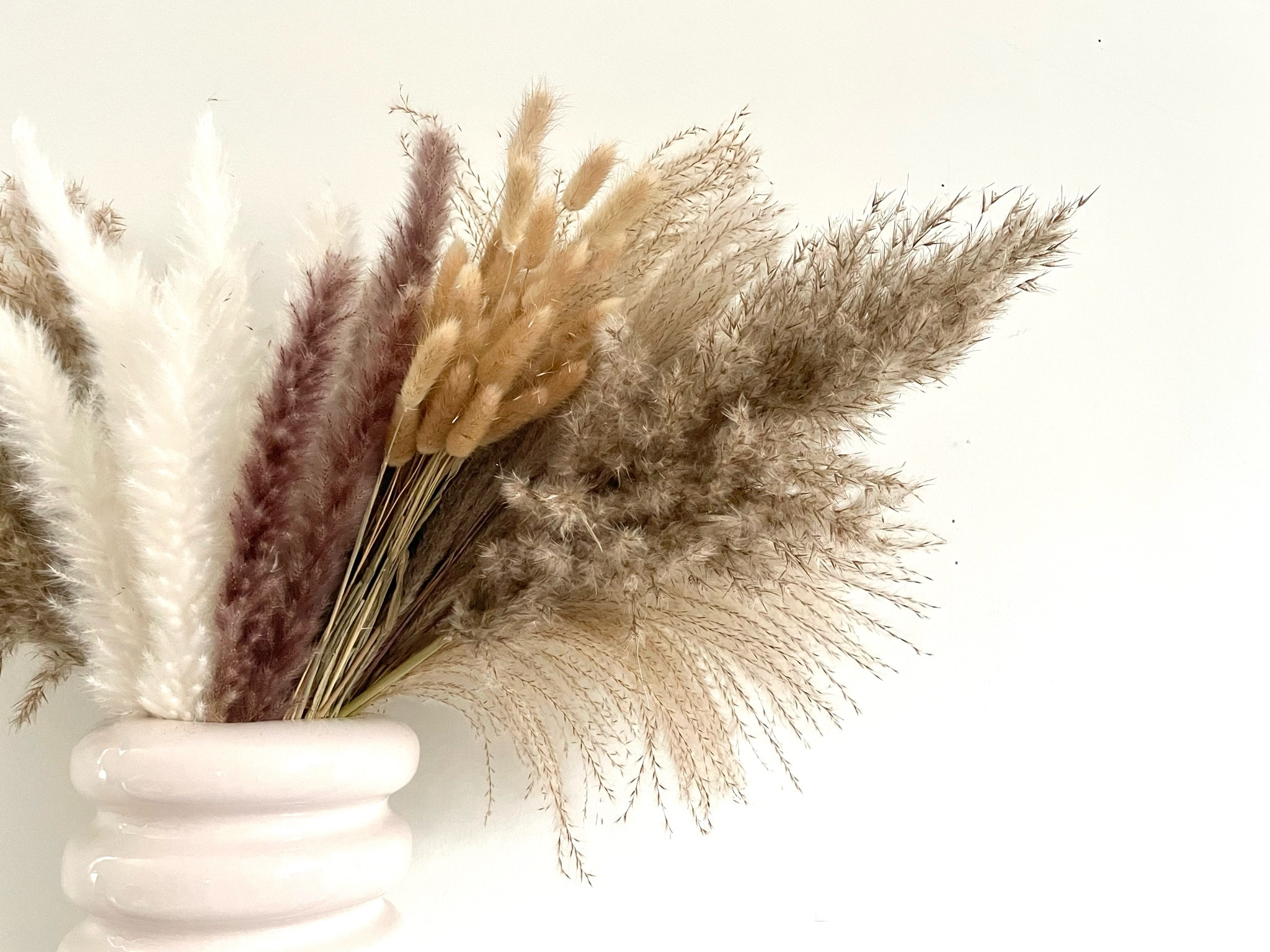 Home Decor
Pampas Grass
Pampas Plant
Boho Decor
Sale Alert
Amazon Find 

#LTKsalealert #LTKhome #LTKunder50