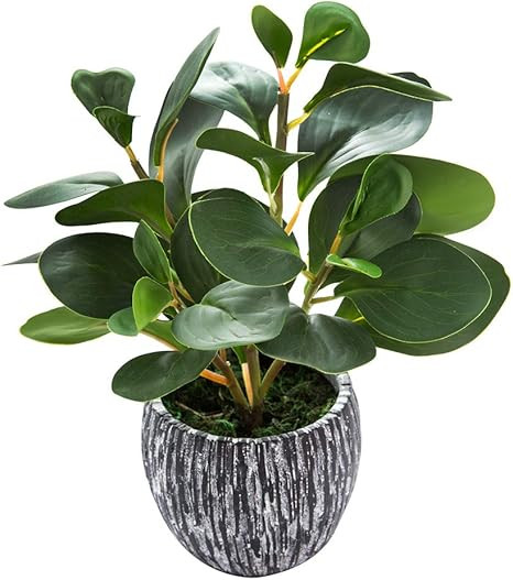 AlphaAcc Mini Potted Artificial Plants Real Looking Plastic Fiddle Leaf Fig Plant with Rustic Bla... | Amazon (US)