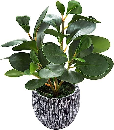 AlphaAcc Mini Potted Artificial Plants Real Looking Plastic Fiddle Leaf Fig Plant with Rustic Bla... | Amazon (US)