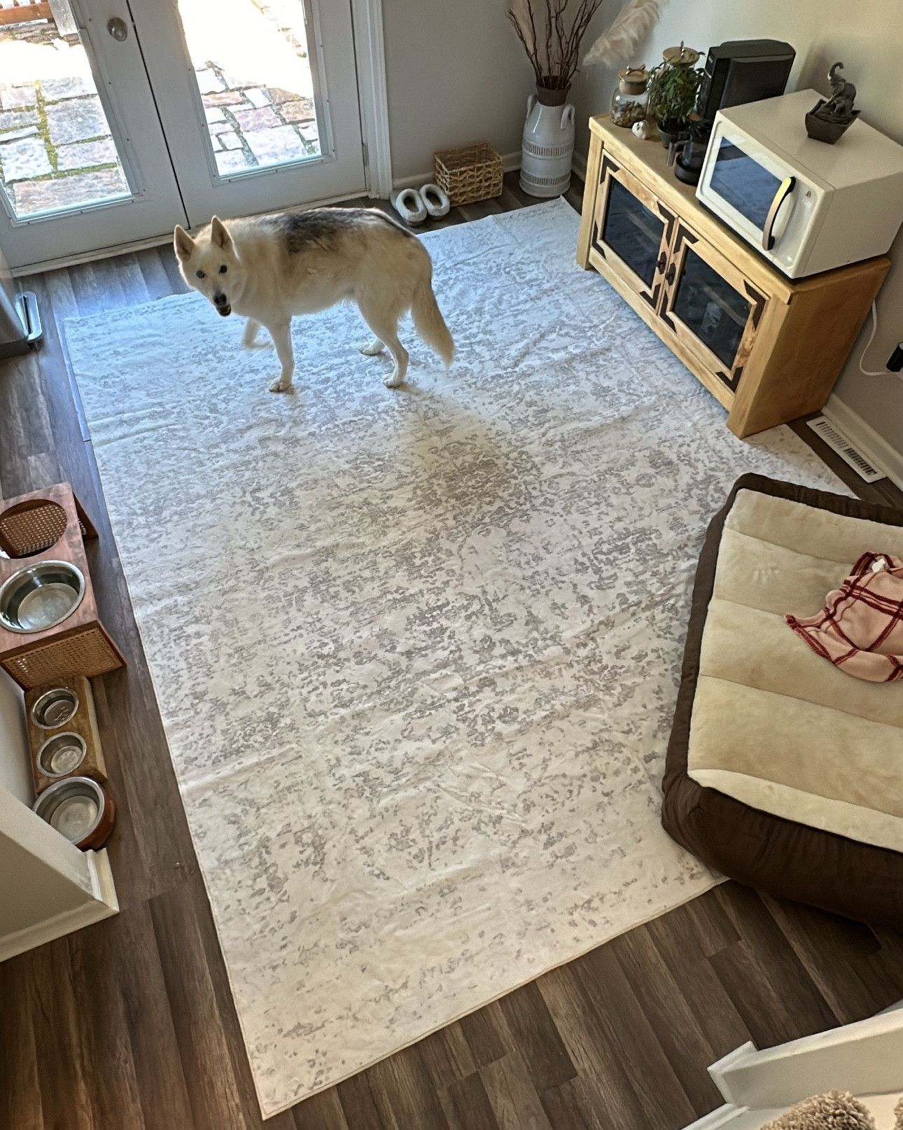 Amazing quality MACHINE WASHABLE rugs from Amazon! 🫶👏🏻

#LTKHome #LTKStyleTip #LTKFamily