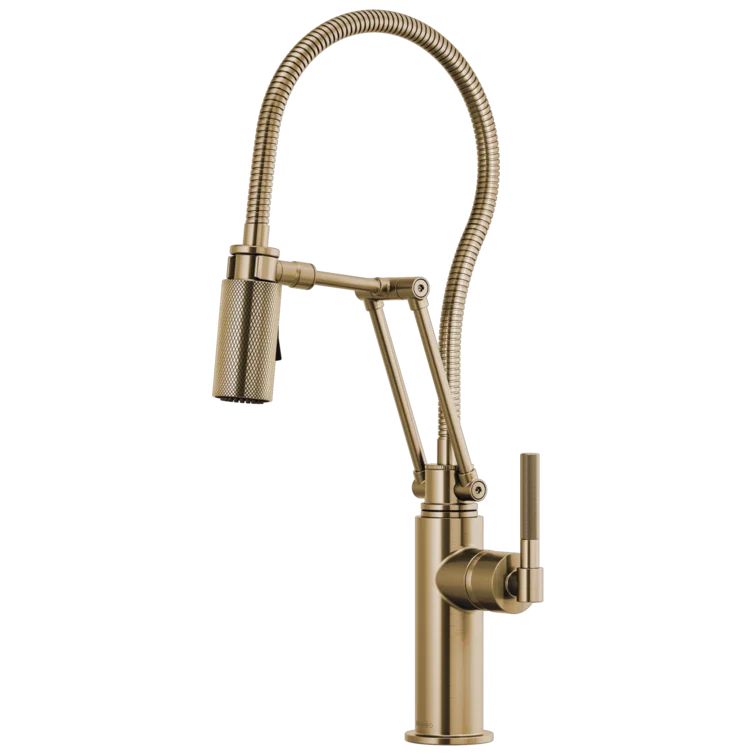 Litze® Articulating Faucet with Finished Hose | Wayfair North America