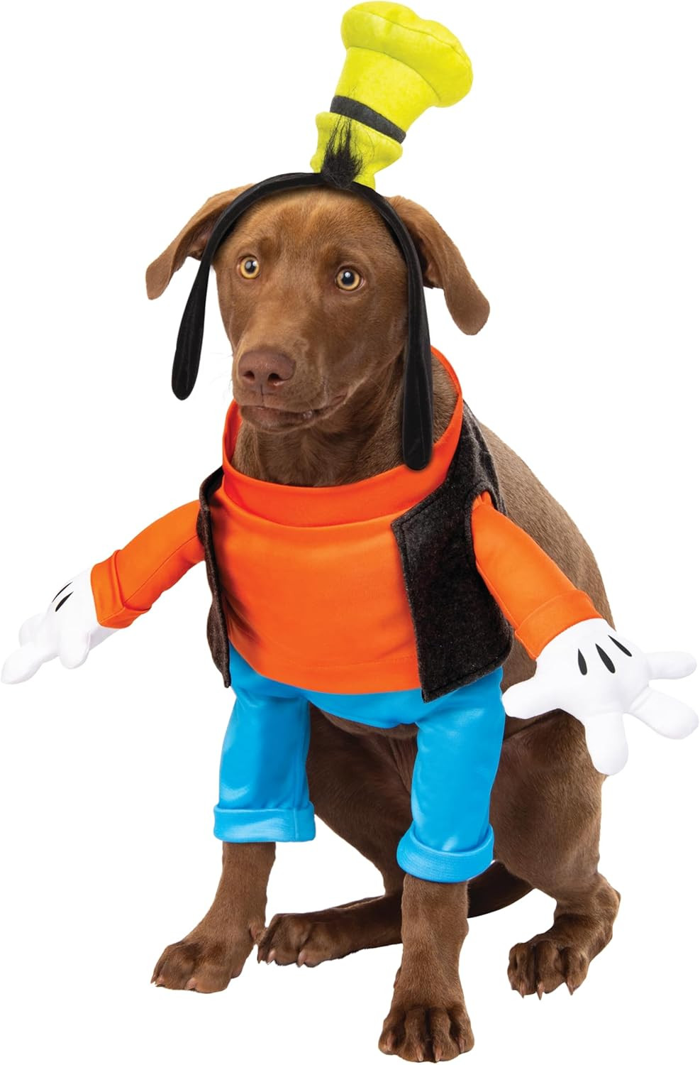 Rubies Disney: Goofy Pet Costume for Dogs or Cats, Large | Amazon (US)