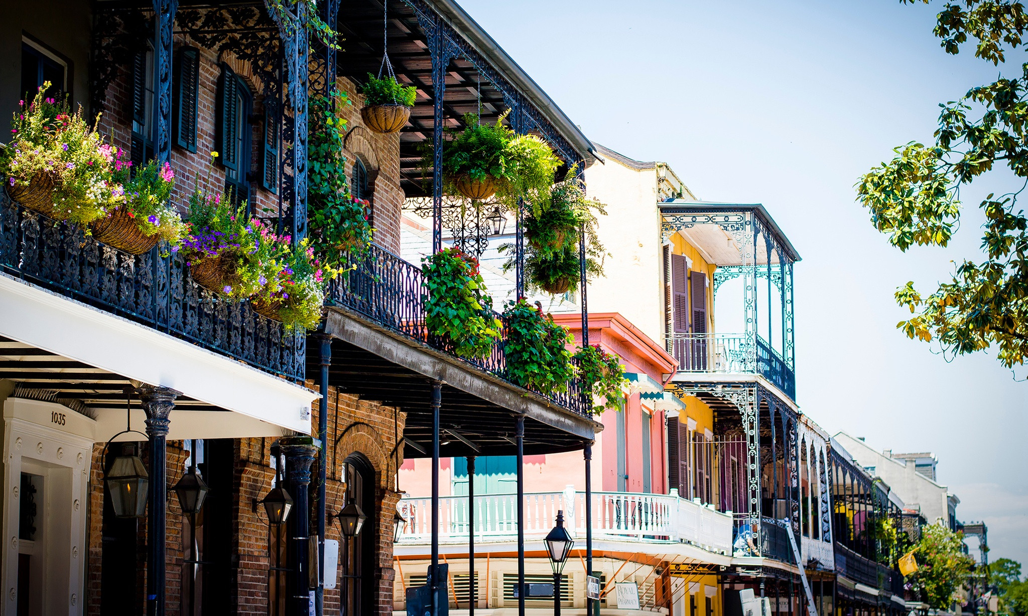 French Quarter or Haunted French Quarter or Garden District Tour from Historic New Orleans Tours ... | Groupon North America