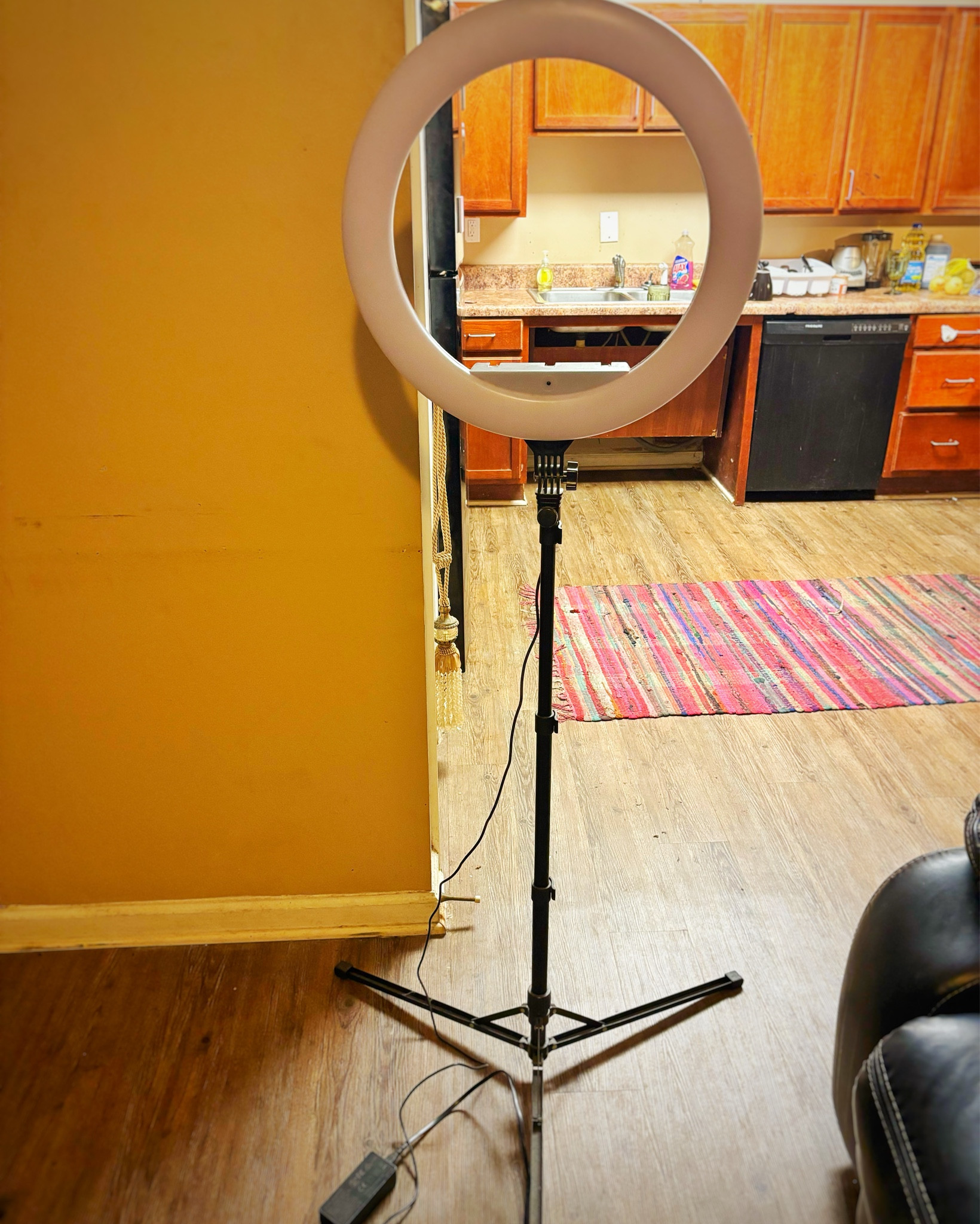 My Favorite Ring Light And Pink Tripodd

#LTKFindsUnder50 #LTKOver40 #LTKPlusSize