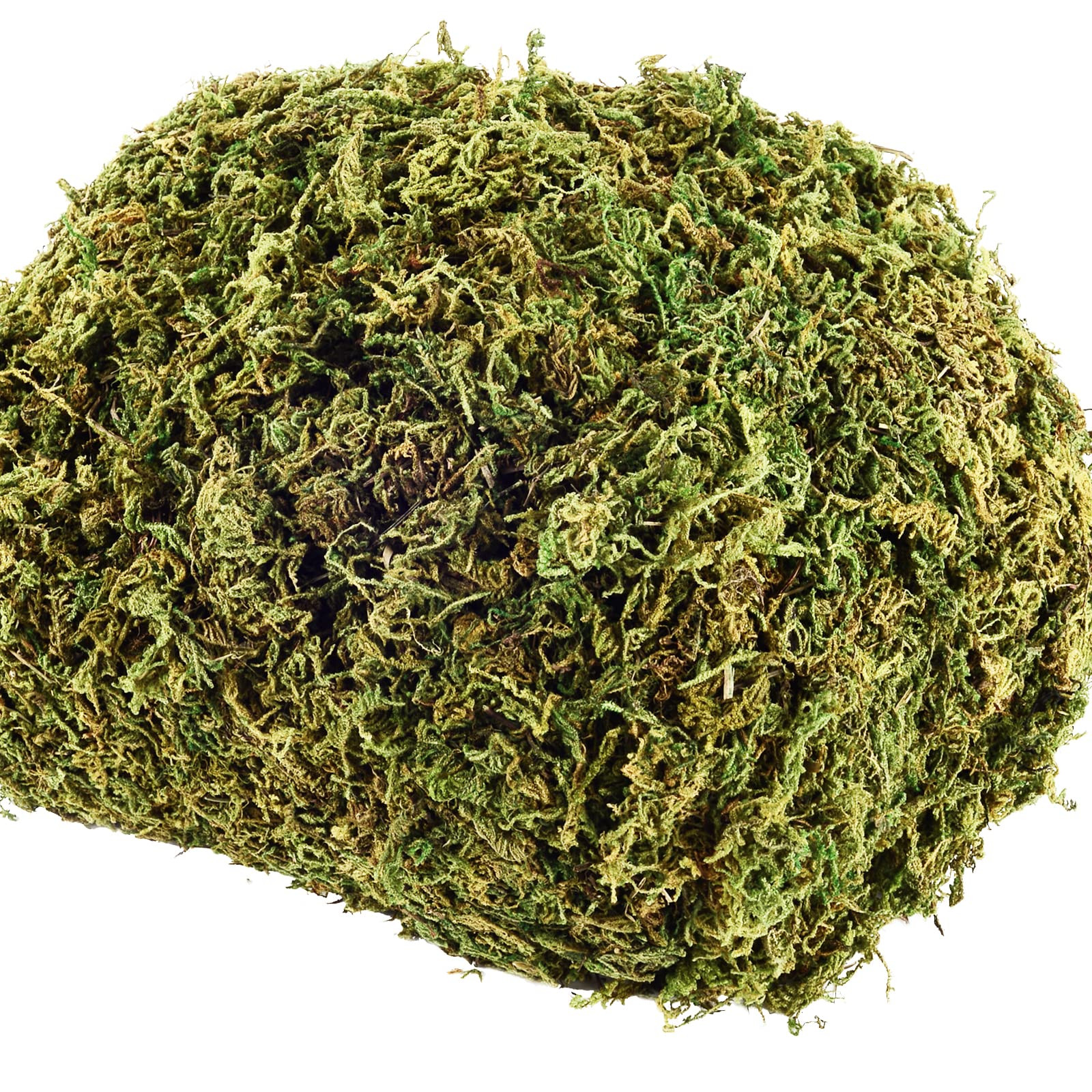 18 OZ Artificial Moss for Potted Plants & Fake Plants - Faux Decorative Moss for Planters & Craft | Amazon (US)