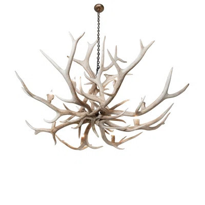 66" Wide Antlers Elk 8 Light Chandelier | Wayfair North America