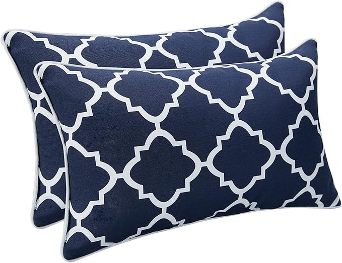 Outdoor Lumbar Pillows Waterproof Set of 2 Decorative Pillows with Inserts 12×20 Inch Outdoor Pi... | Amazon (US)