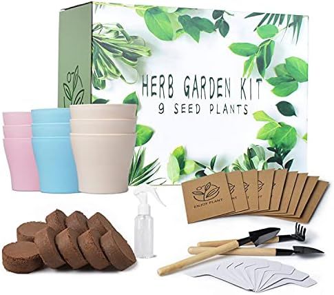Indoor Herb Garden Starter Kit - 9 Herb Seeds Growing Kit, Organic&Non GMO Home Windowsill Plant Kit | Amazon (US)
