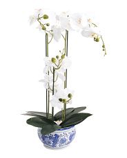 25in Real Touch Orchid In Ceramic Pot | TJ Maxx