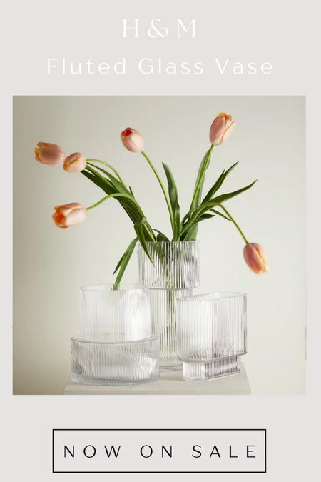 H&M fluted glass vases are now on sale! 

#LTKhome #LTKsalealert #LTKfindsunder50