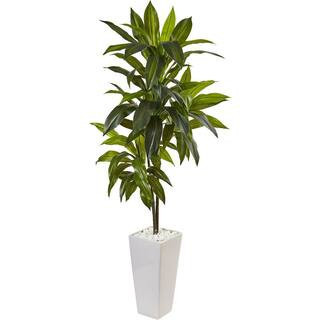 23 in. Artificial Green Indoor/Outdoor Dracaena Plant, Faux Tropical Accent, Decorative Lush Green Display | The Home Depot