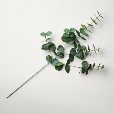 25" Faux Spiral Eucalyptus Stem - Hearth & Hand™ with Magnolia: Farmhouse Artificial Leaf Spray... | Target