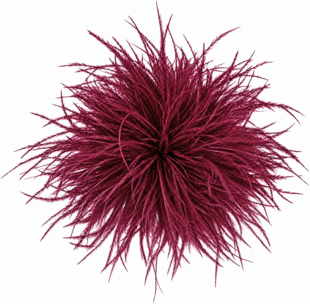 Ostrich Feather Brooch Pin for Clothes, Feather Flower Hair Clip for Women | Amazon (US)