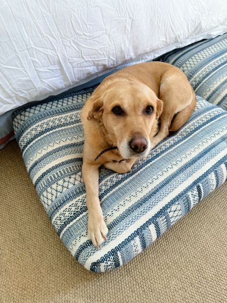 Our dogs got a refresh with new dog beds! We had the crummiest old dog beds in our bedroom but now I love these new super cushy dog beds I ordered them 💙 it’s the little things around a home that can really add up! 

#LTKhome #LTKfamily