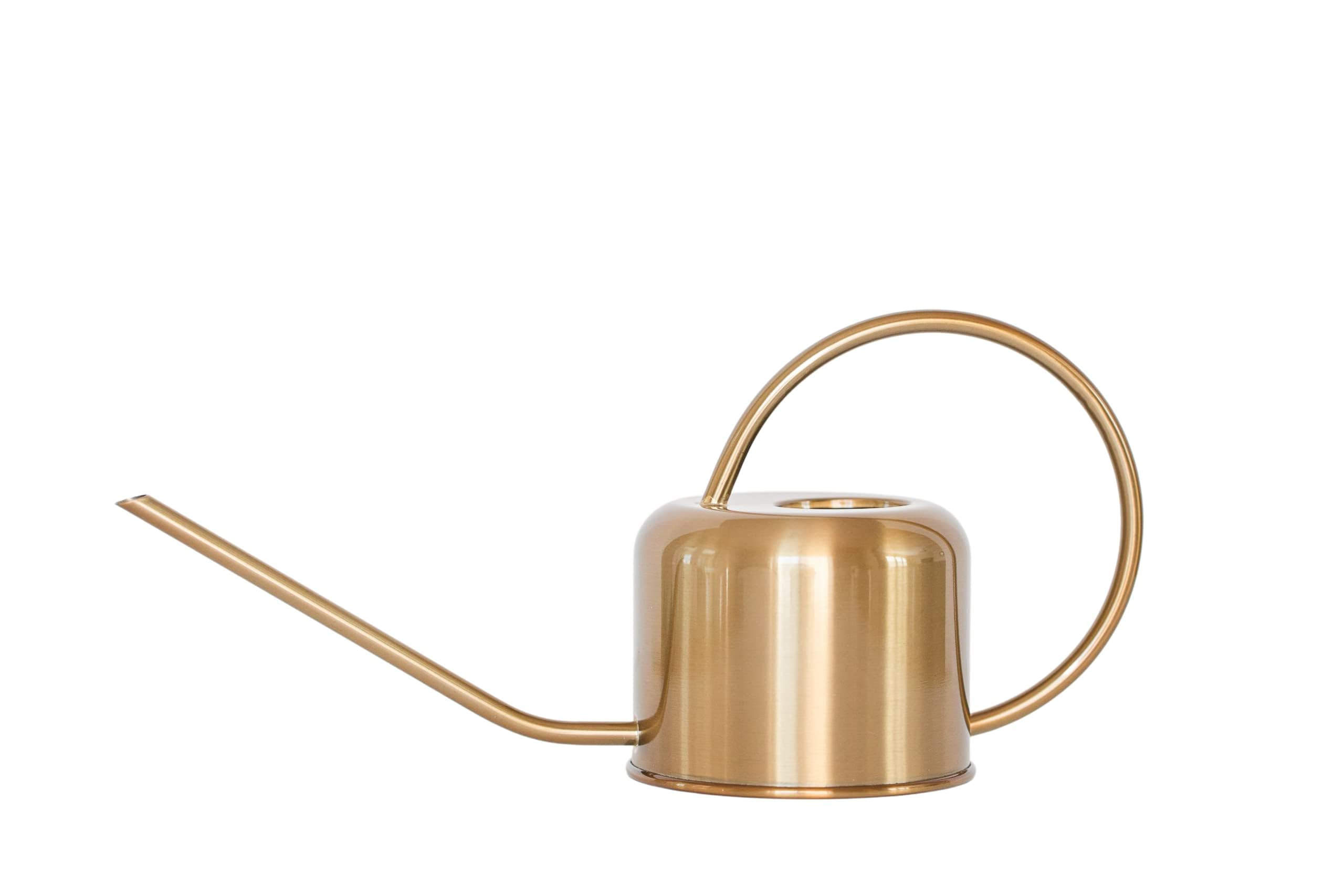 Stainless Steel Watering Can for Houseplants by Houseplant Resource Center | 1L Capacity for Indo... | Amazon (US)