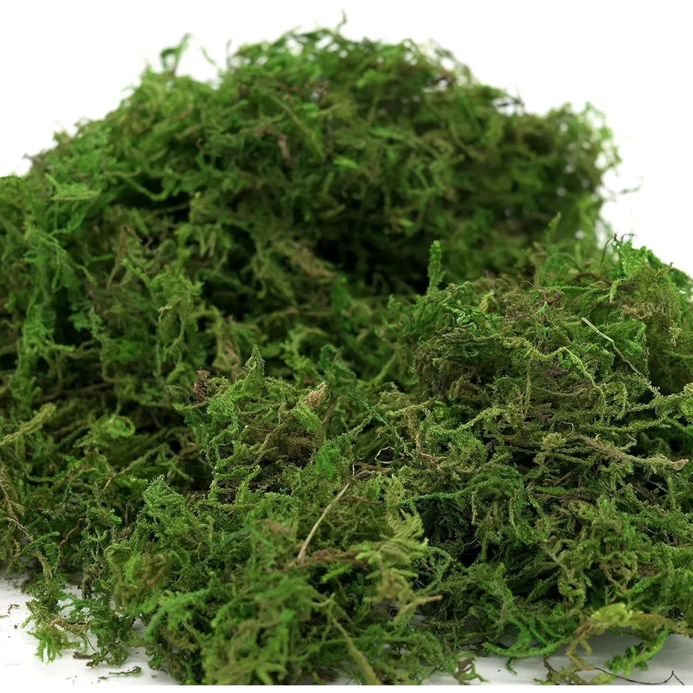 Artificial Moss, 16OZ Fake Moss For Crafts, Decorative Centerpie... | Wayfair North America