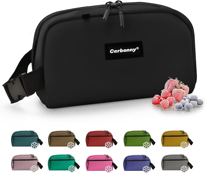 CERBONNY Small Cooler Bag Freezable Lunch for Work School Travel,Leak-proof Bag,Small Insulated F... | Amazon (US)