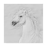 Trademark Fine Art Black and White Horses III by PHBurchett, 14x14 | Amazon (US)