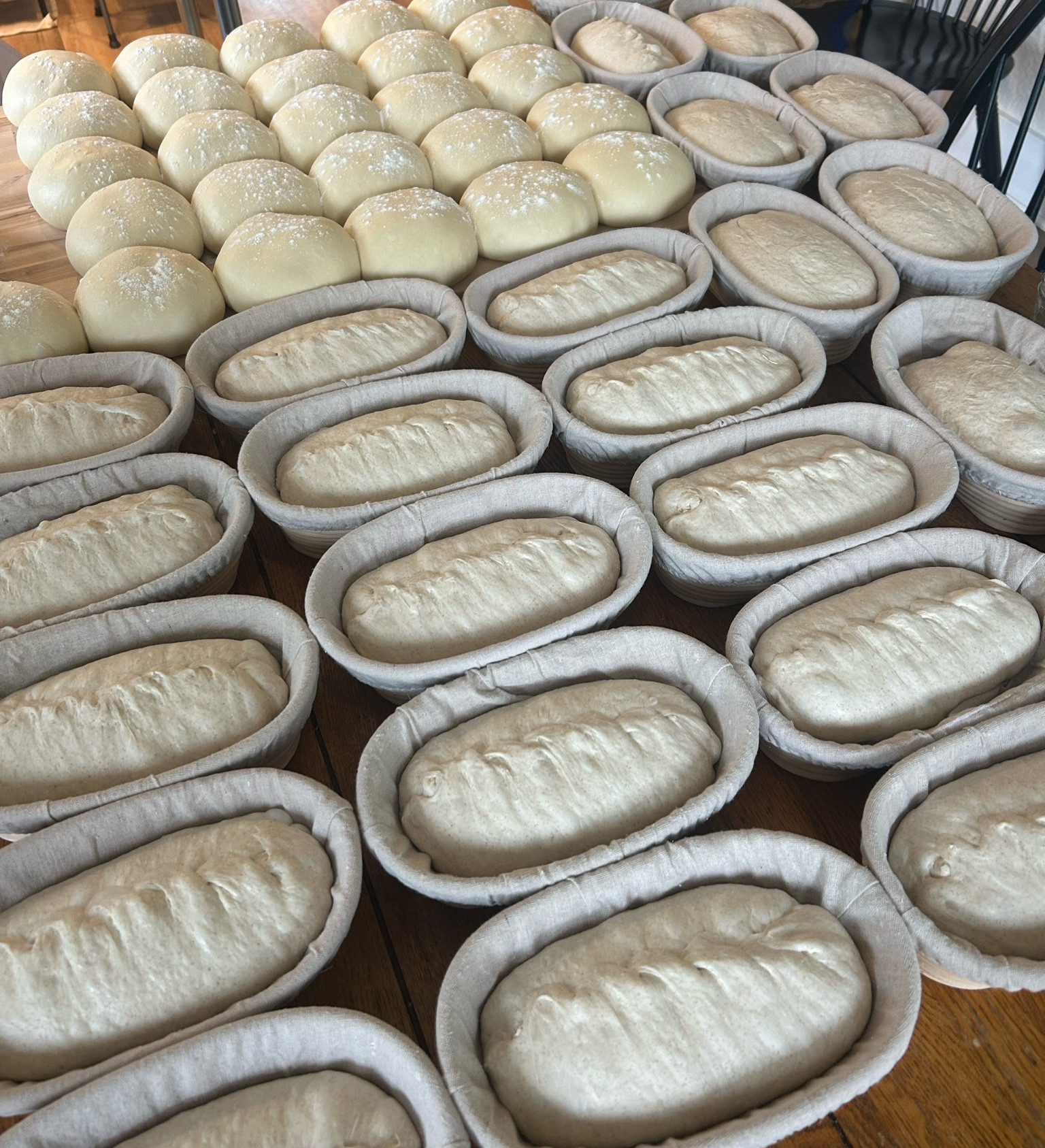 Best deal I've been able to find on bulk bannetons! These are what I use!!  

 #LTKFindsUnder100