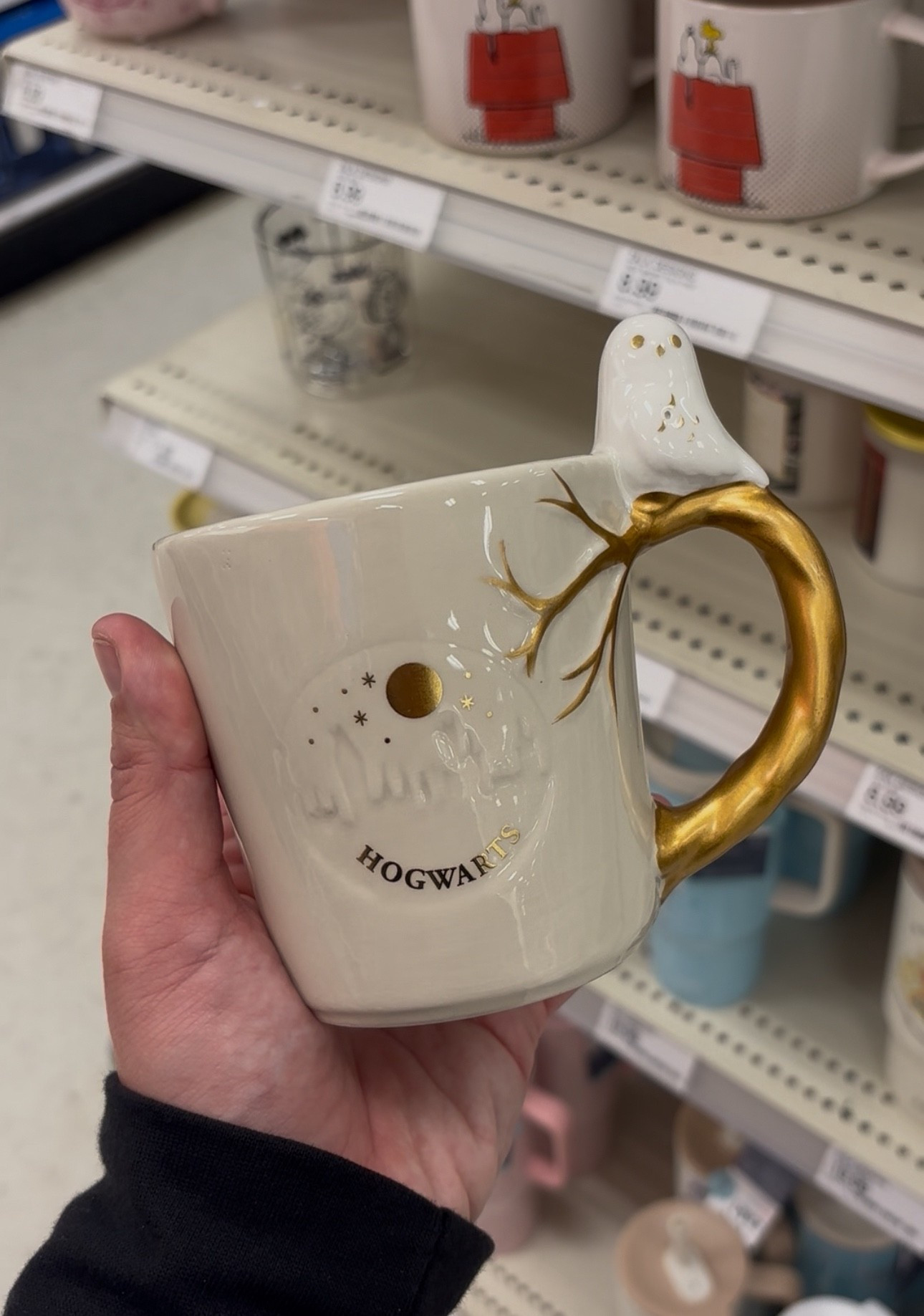 Harry Potter Zak! Mug

#LTKHome #LTKSeasonal #LTKU