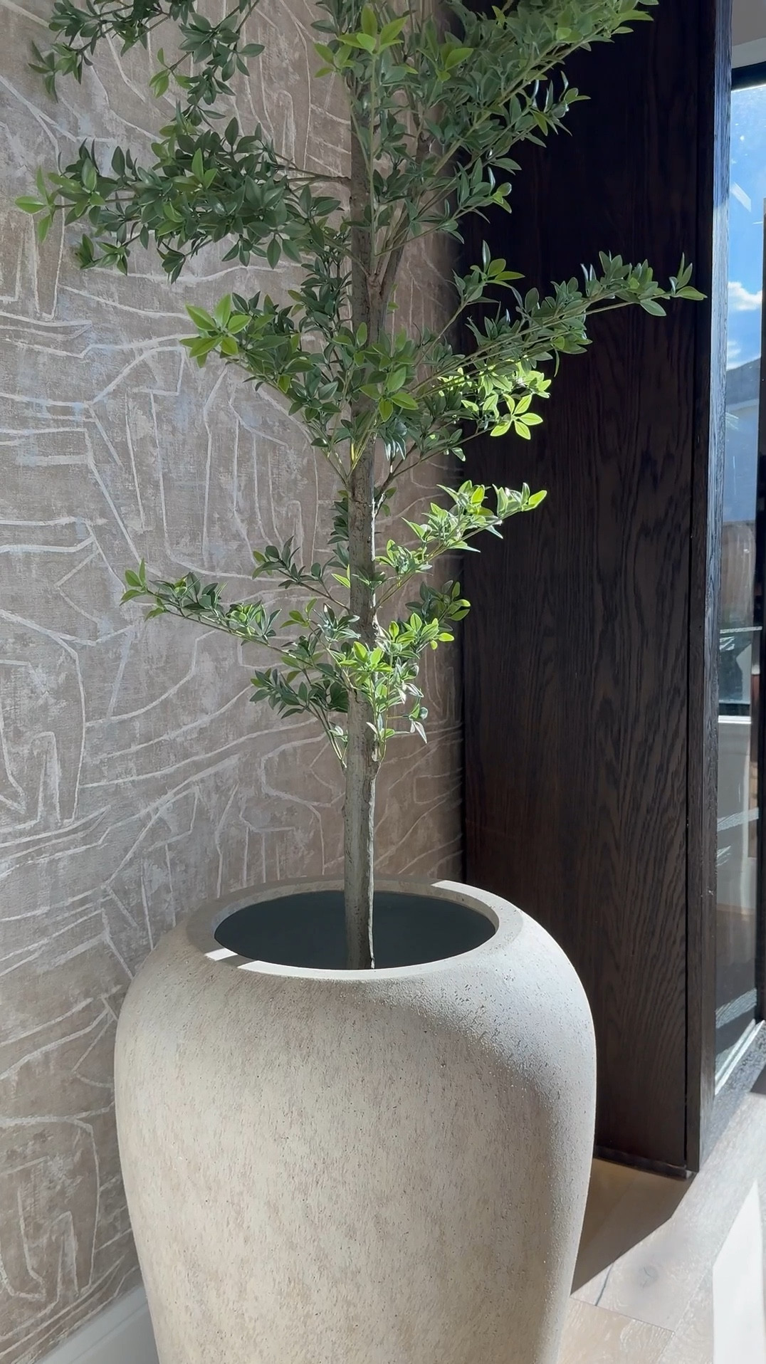 I am absolutely loving this planter from Pottery Barn! It's gorgeous, and the best part is that it's so versatile - it works perfectly for both bigger trees and smaller ones too! 🌳 I love it so much that I actually ended up buying another one, haha! 😆 It's definitely a game-changer for decorating any space. #LTKVideo

#LTKSaleAlert #LTKHome #LTKStyleTip