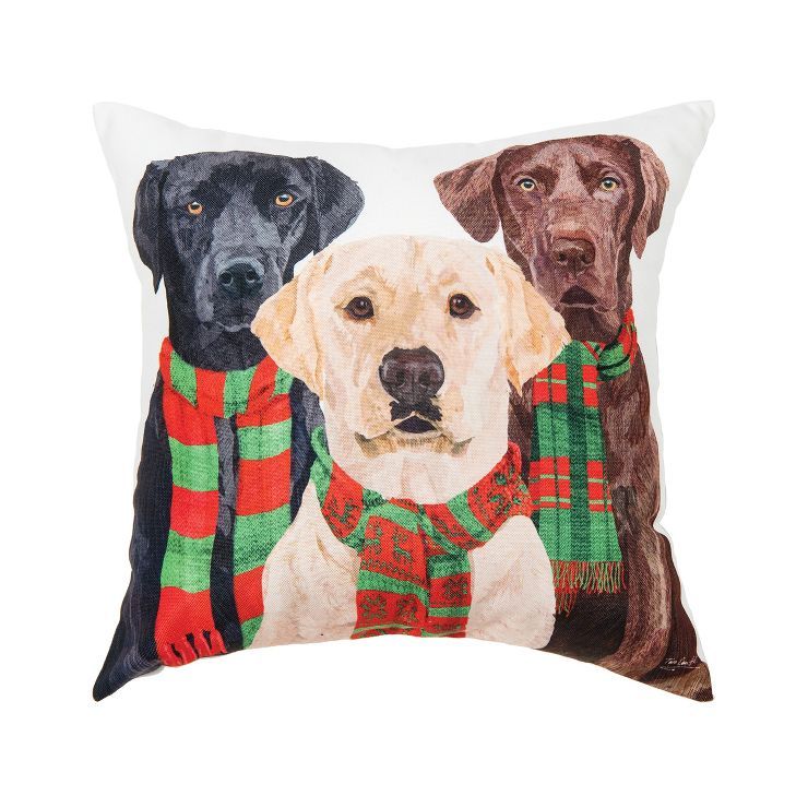 C&F Home Lab Scarves Trio Indoor and Outdoor Throw Pillow | Target