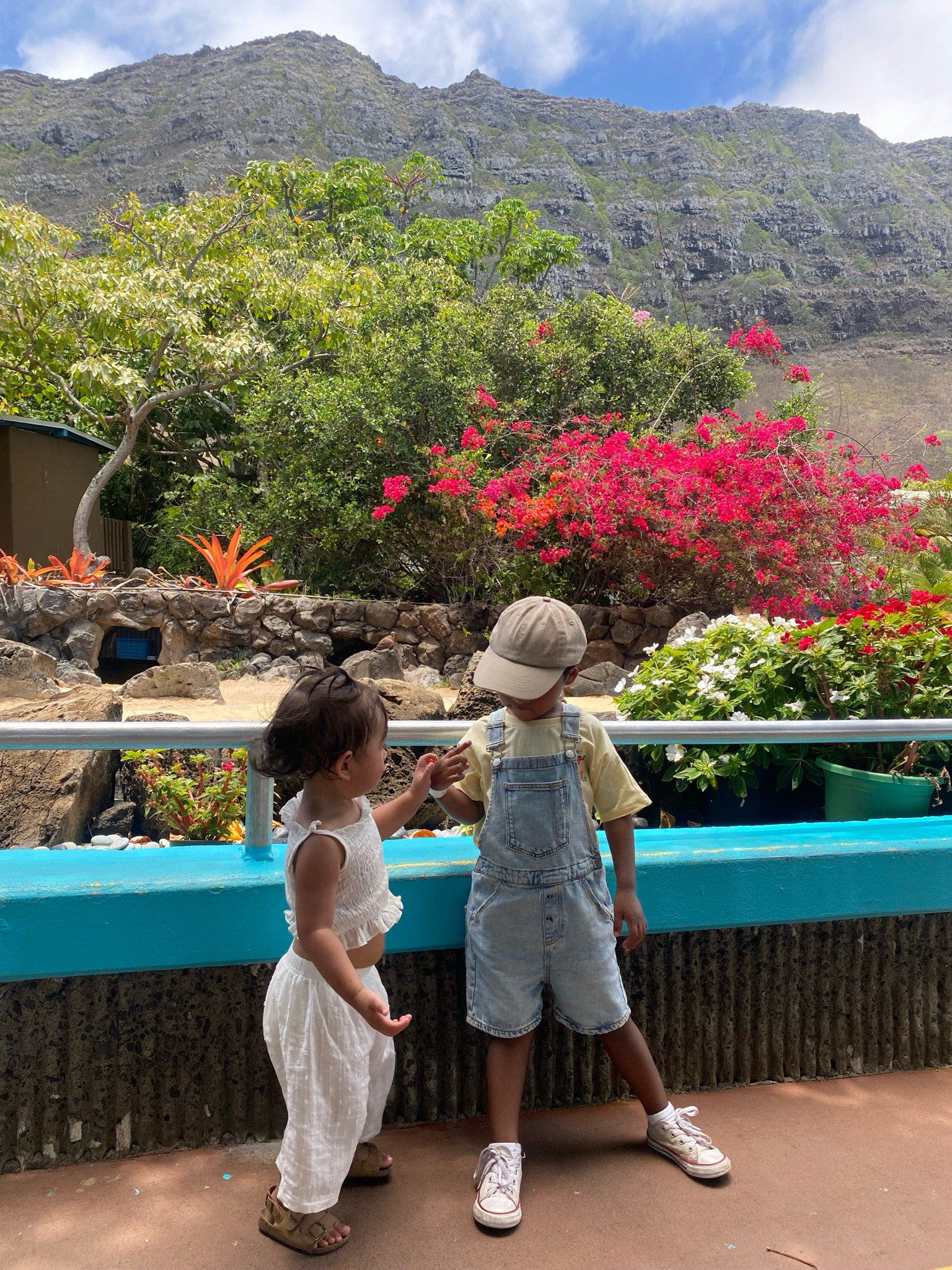 Sea life park in Hawaii 🐢

#LTKtravel #LTKbaby #LTKkids