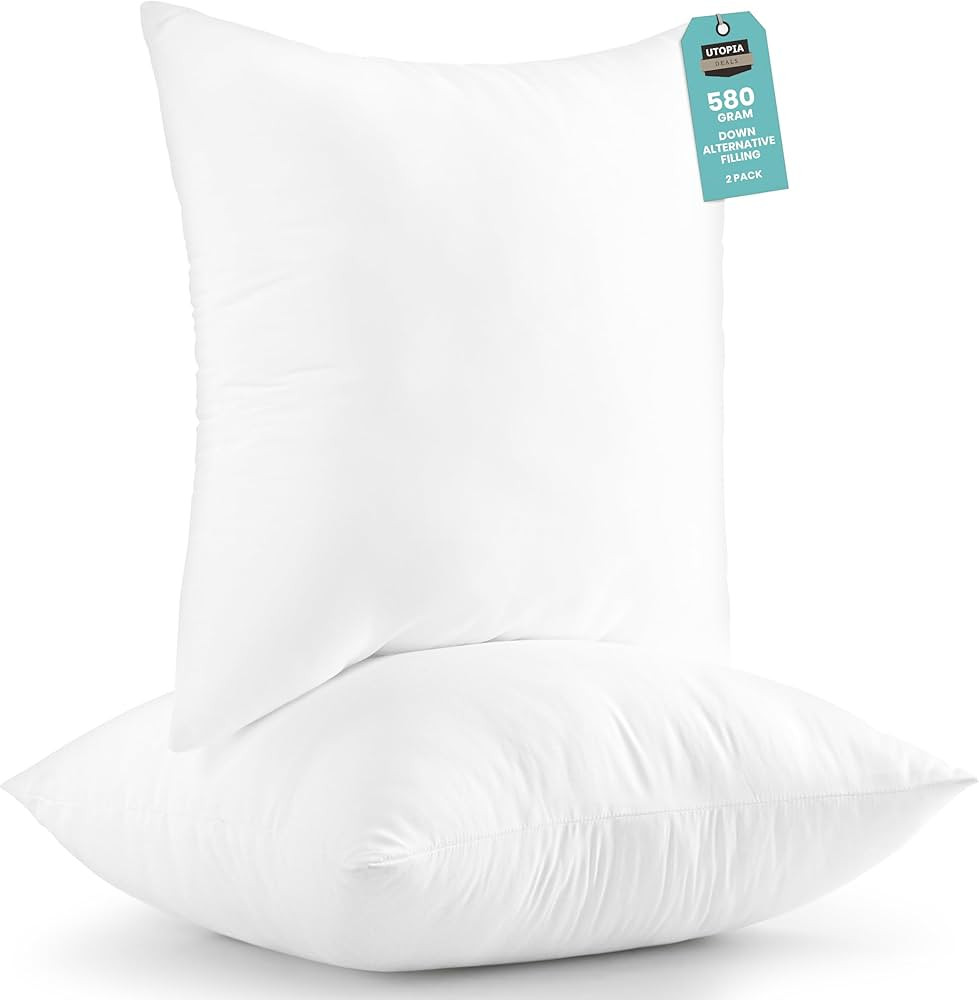 Utopia Bedding Throw Pillows Insert (Pack of 2, White) - 20 x 20 Inches Bed and Couch Pillows - I... | Amazon (US)