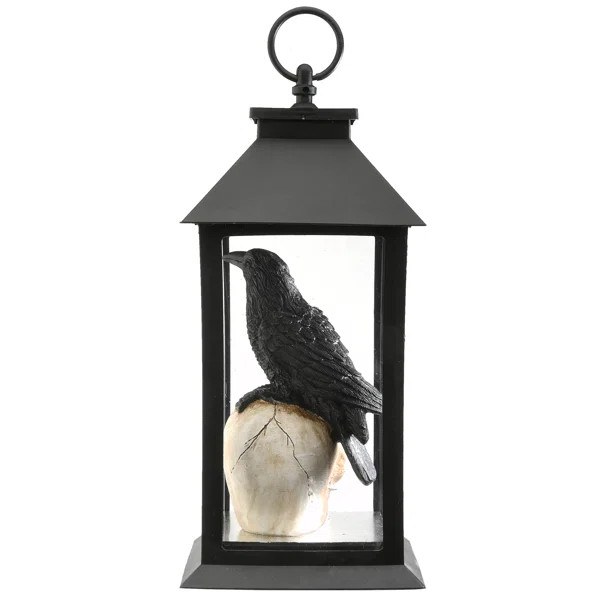 Crow and Skull Lantern with LED Light | Wayfair North America