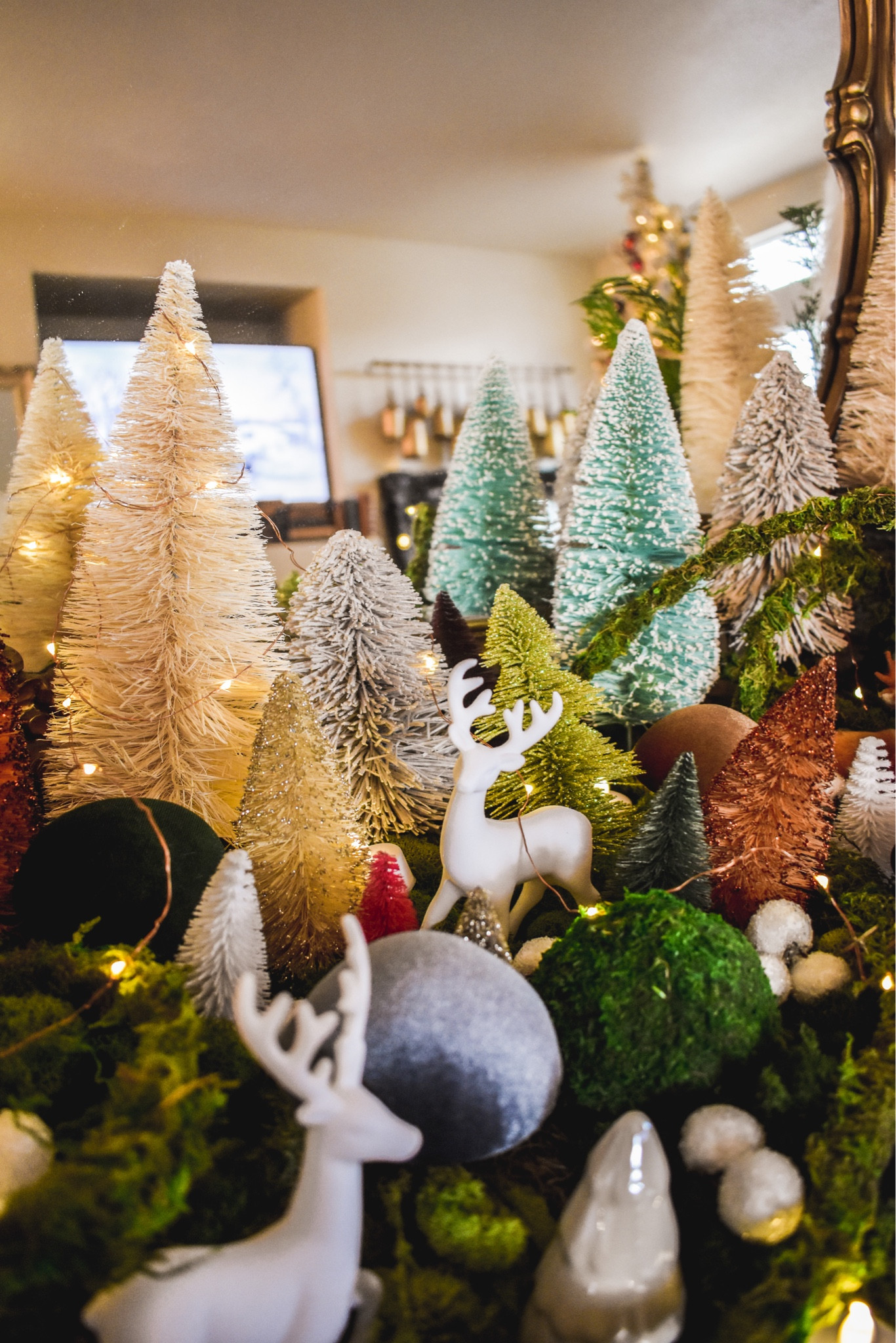 #LTKU #LTKcozyhome #LTKforest #LTKchristmas #LTKhome

#LTKHoliday #LTKfamily #LTKSeasonal