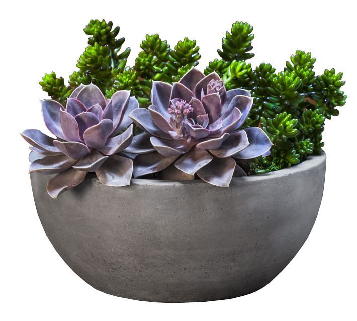 Ace Fiber Cement Bowl Planter | Pottery Barn (US)