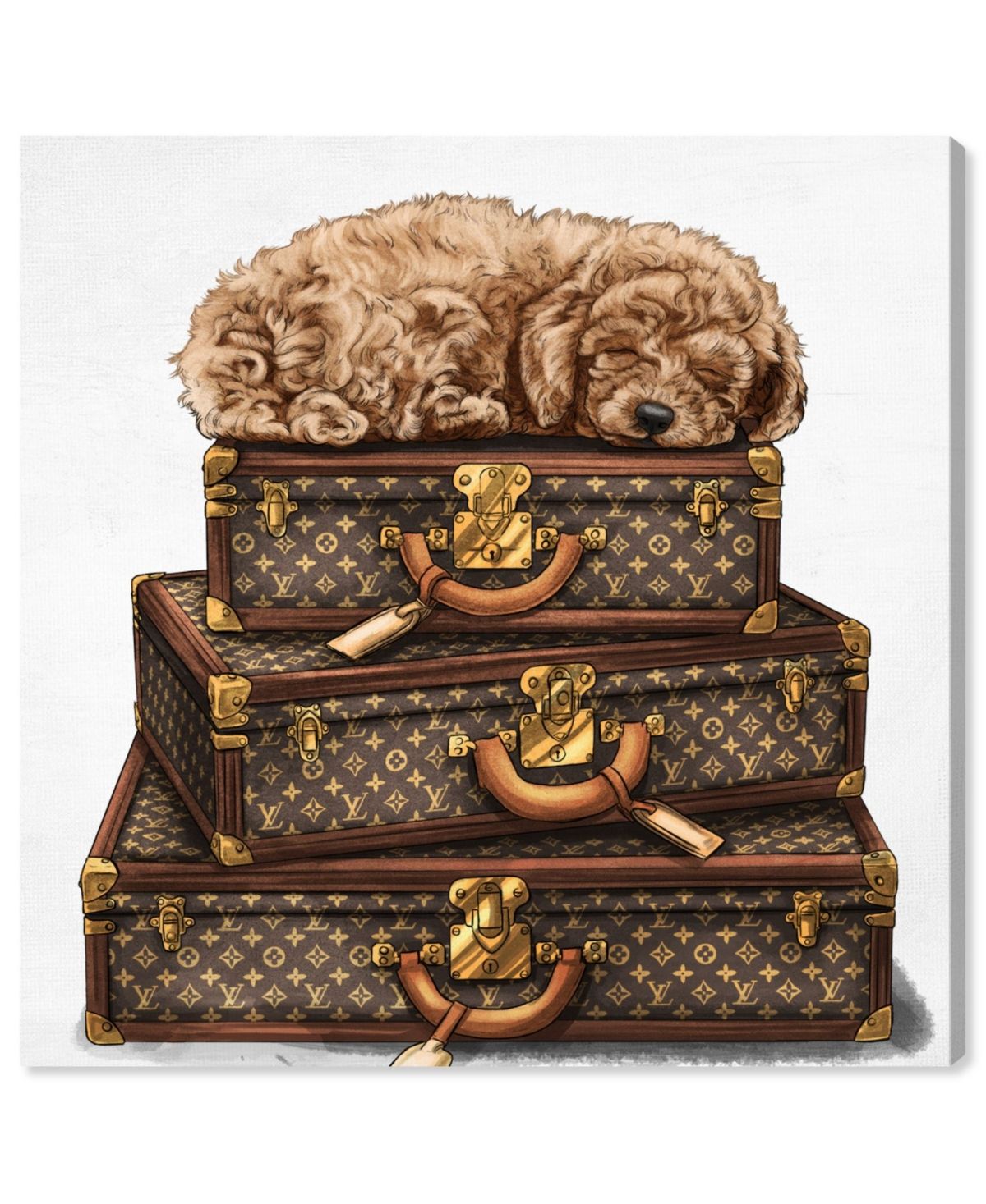 Oliver Gal Sleeping Poodle Canvas Art - 20" x 20" x 1.5 | Macys (US)