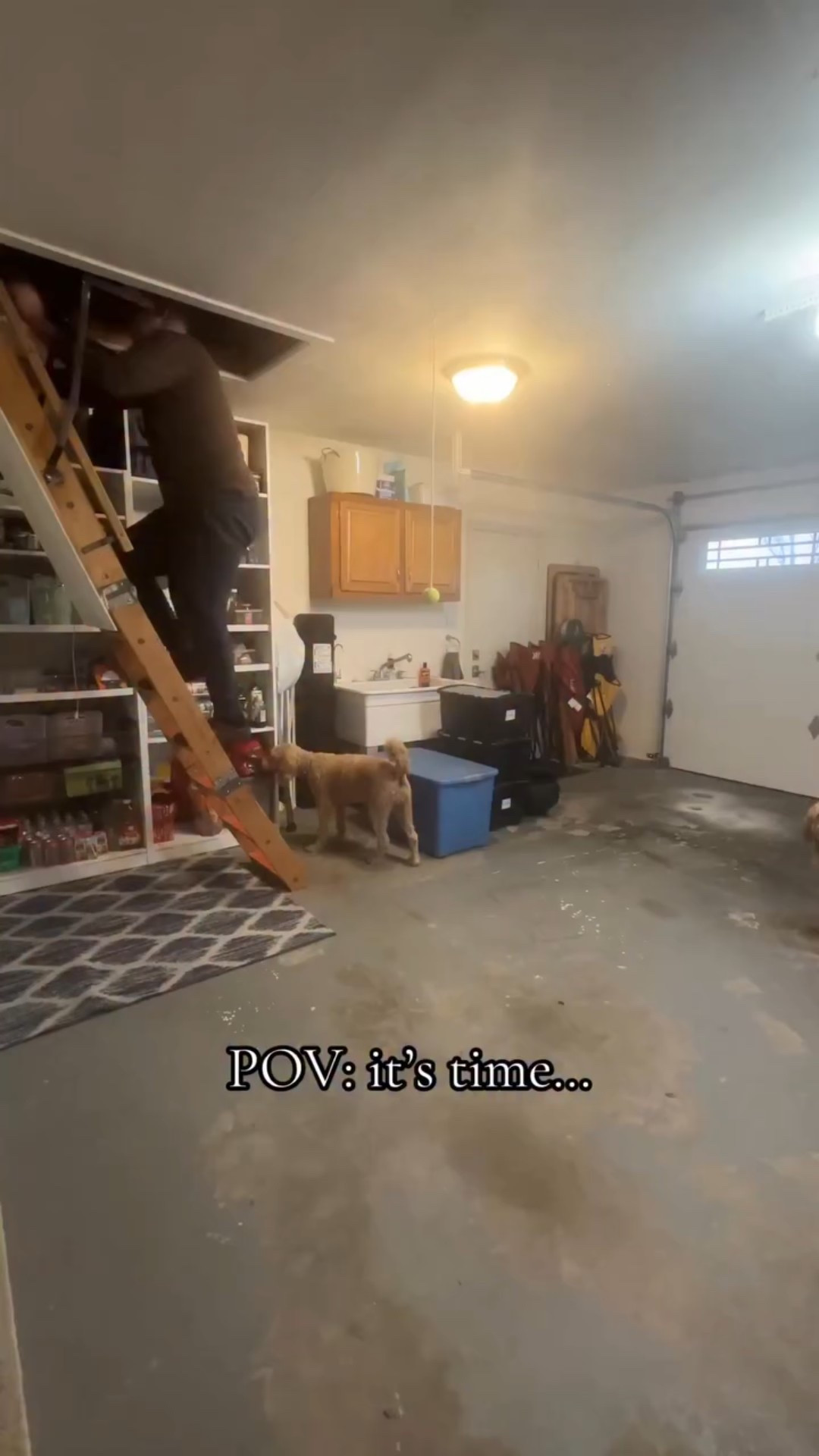 The 🎾 was a paid actor.

It’s time! Get ready for a whole season filled with holiday inspiration! #thriftedhome #thriftmas #christmasdecorideas