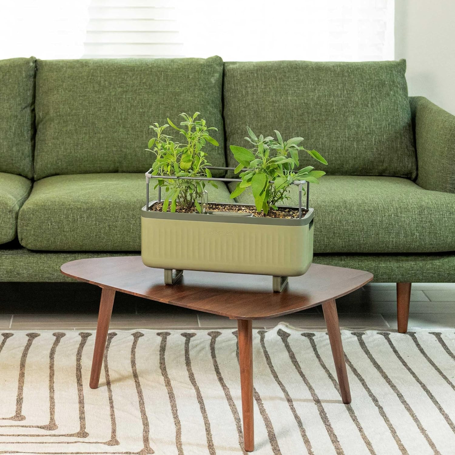 Vego Garden Herb Indoor Plant Box, Self Watering Planters Pots for Indoor Plants with Trellis for... | Amazon (US)