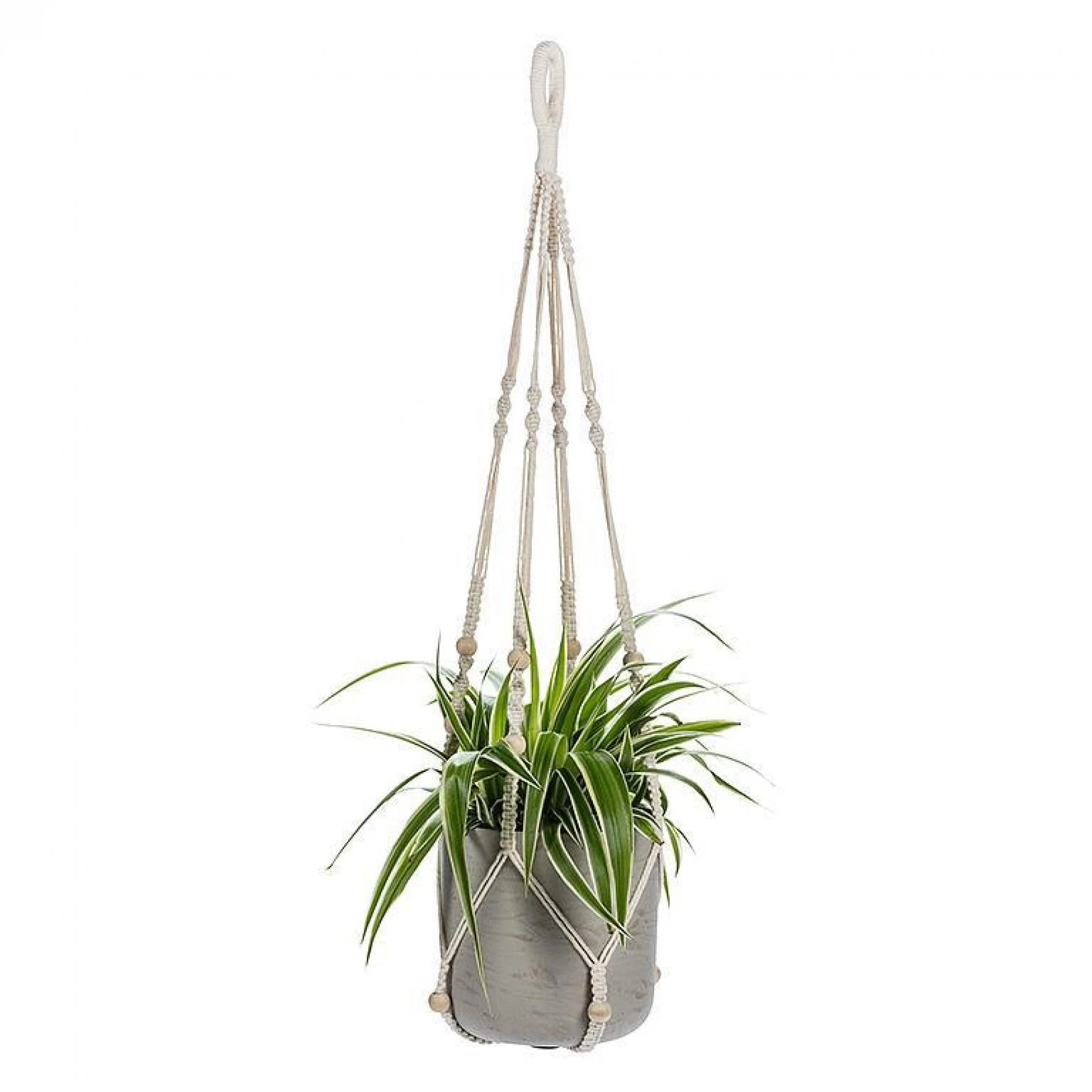 Macrame Beaded Hanging Plant Holder | Wayfair North America