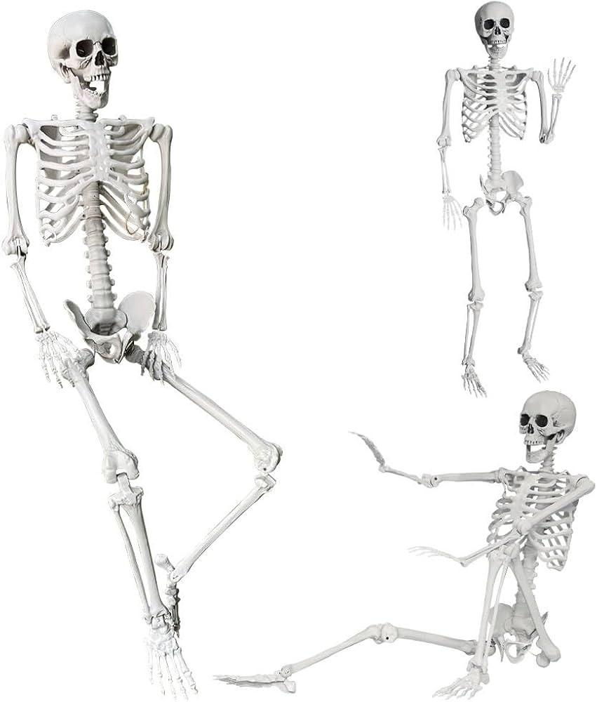 5.4Ft/165cm Halloween Skeleton Full Body Life Size Human Bones with Movable Joints for Indoor Out... | Amazon (US)