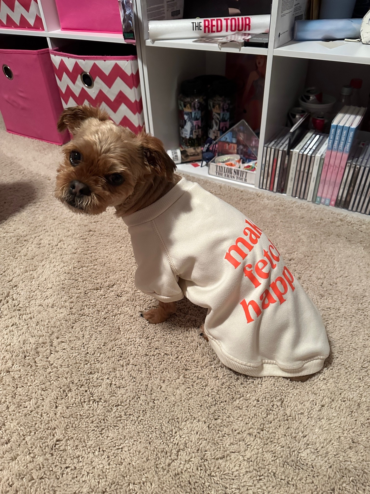Stop trying to make fetch happen…


Wearing a medium in this cute new sweater from Target 🤍

#LTKootd #LTKgrwm #LTKSaleAlert
