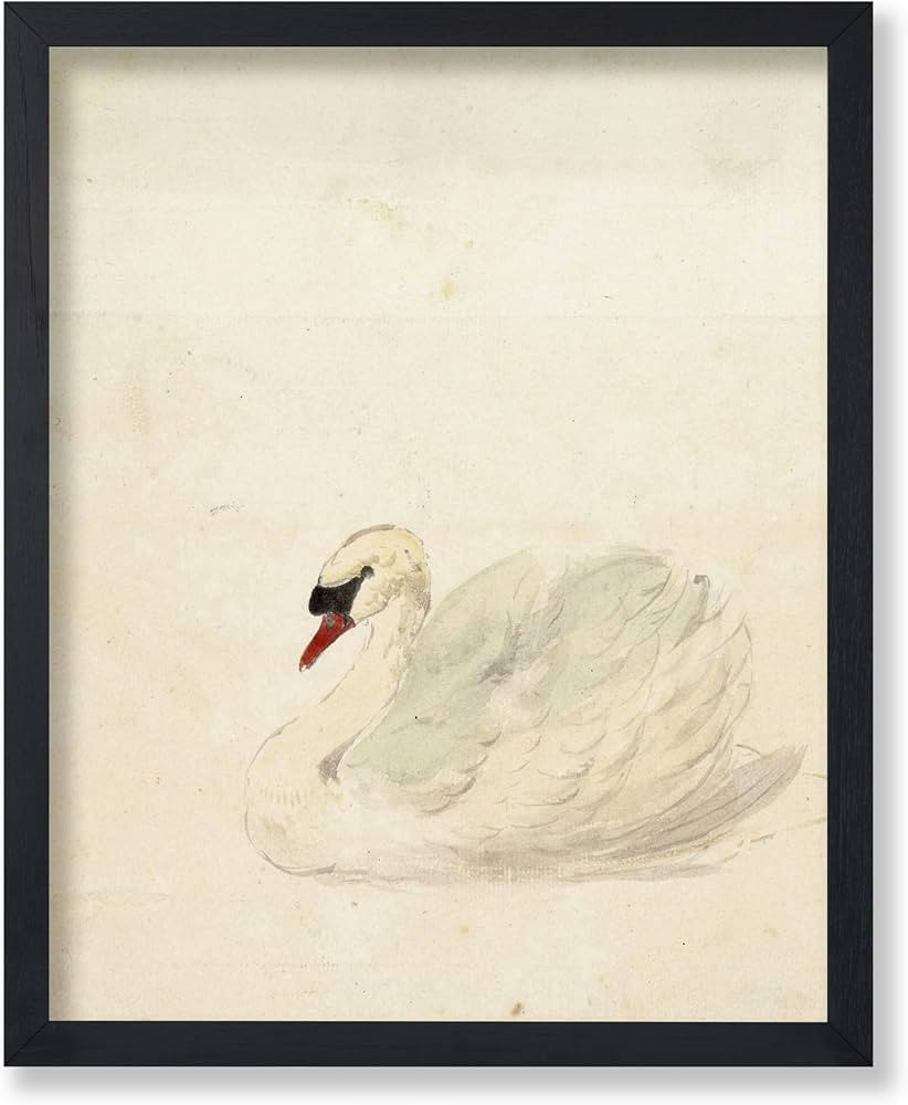 Poster Master Vintage Swan Poster - Retro White Swan Painting Print - French Country Art - Bird A... | Amazon (US)