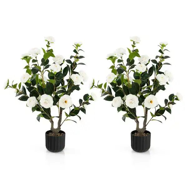 38 Inch Artificial Camellia Tree Faux Flower Plant in Cement Pot - Set of 2 - White | Bed Bath & Beyond
