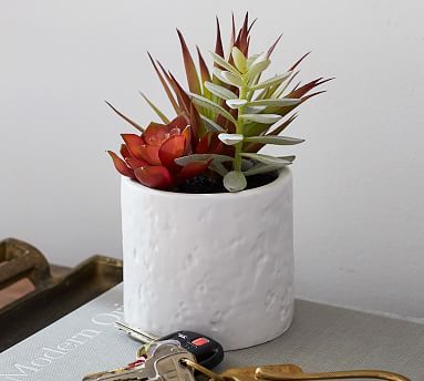 Faux Potted Succulent Arrangement | Pottery Barn (US)