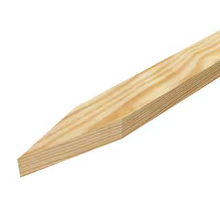 Grade Stakes-Pine (12-Pack) (Common: 1 in. x 2 in. x 1-1/2 ft.; Actual: .562 in. x 1.375 in. x 17... | The Home Depot