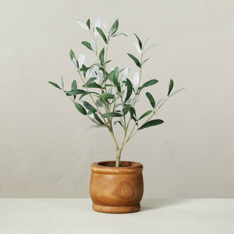 16&#34; Faux Olive Leaf Potted Plant - Hearth &#38; Hand&#8482; with Magnolia | Target