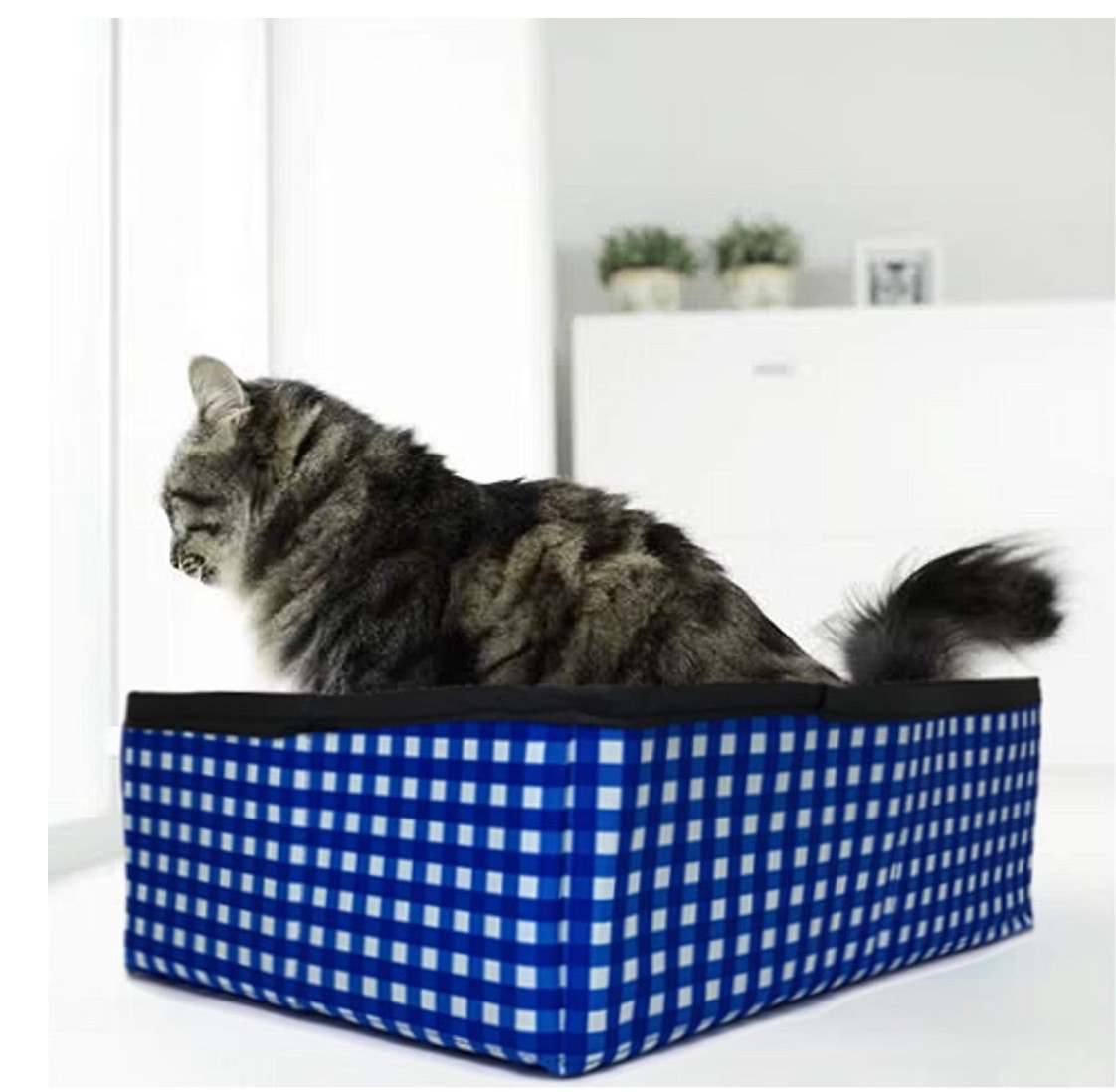 Absolute life saver for pet travel and settling in to our new spot! 

#LTKFindsUnder50 #LTKPets #LTKTravel