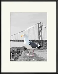 Frametory, 16x20 Aluminum Photo Frame with Ivory Color Mat for 11x14 Picture & Real Glass, Metal ... | Amazon (US)