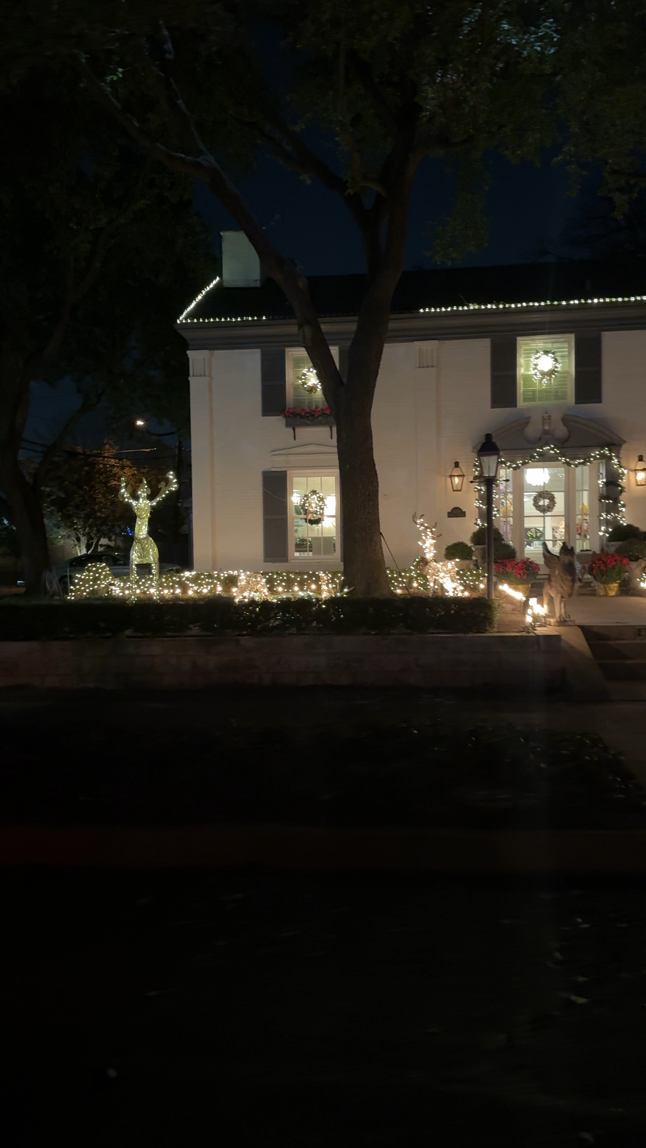 Christmas lights!

#LTKSeasonal #LTKHoliday #LTKWatchNow