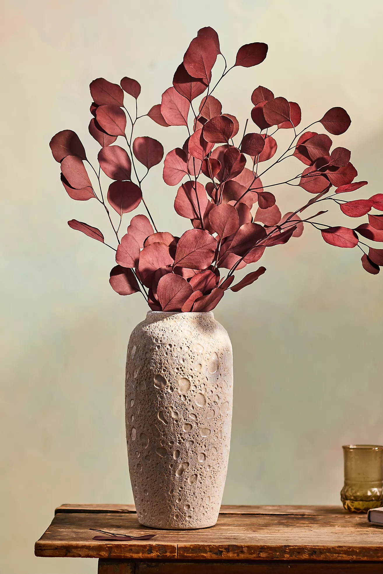 Preserved Populus Eucalyptus Bunch | Anthropologie (US)